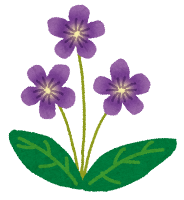 2月21日の誕生花スミレのイラスト（いらすとや）